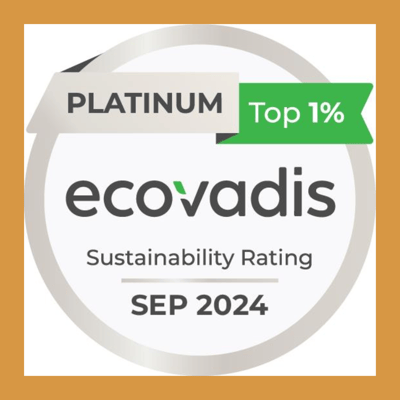 2025 NYSCC Ecovadis logo 108x1080
