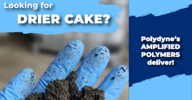 Drier Cake Image